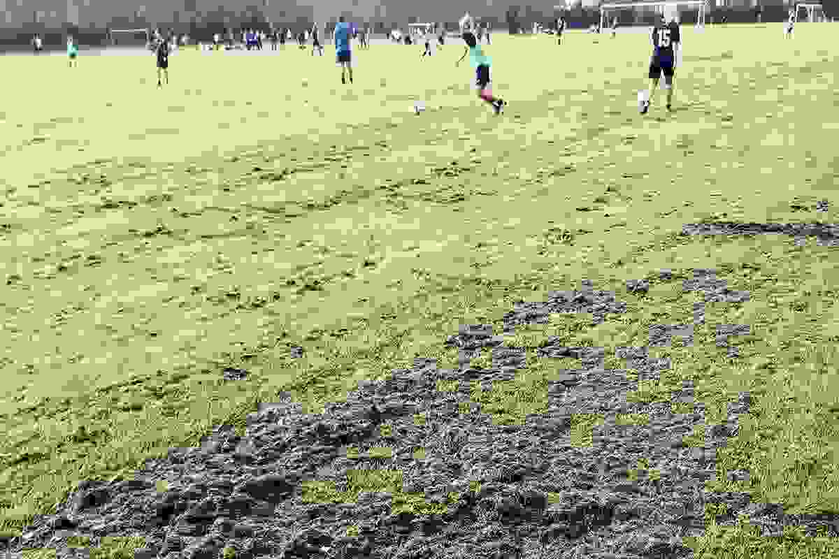 Græsafklip på fodboldbanerne