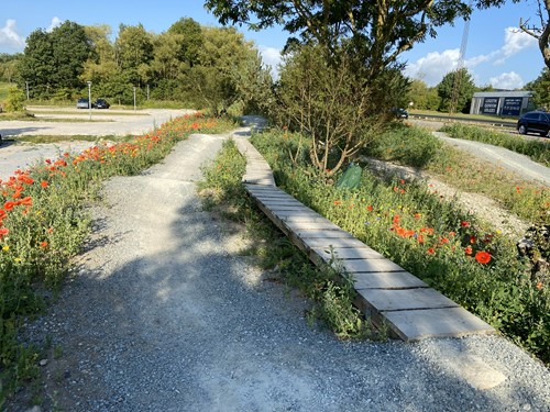Cykelsporet i Ballerup Idrætsby